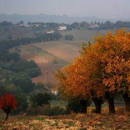 Marche: alla scoperta della regione tra mare e colline