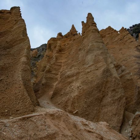 Lame Rosse